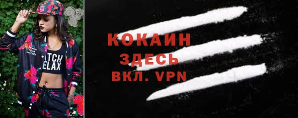 spice Алексин