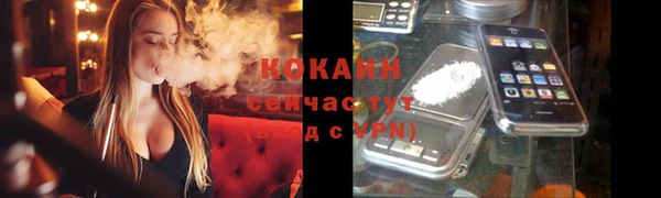 spice Алексин