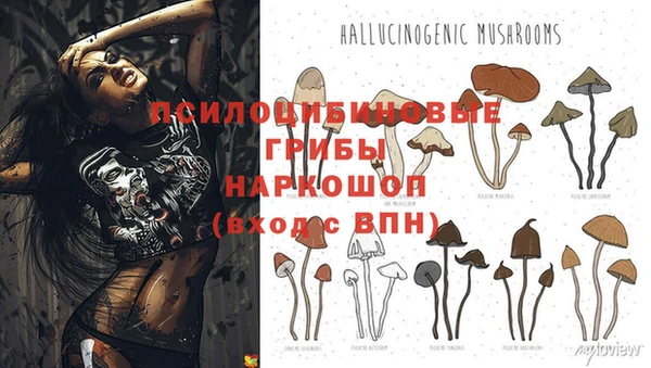 каннабис Алзамай