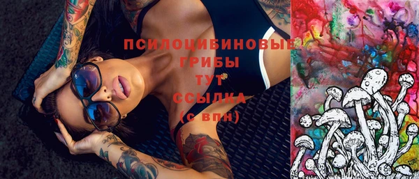 МДПВ Алексеевка