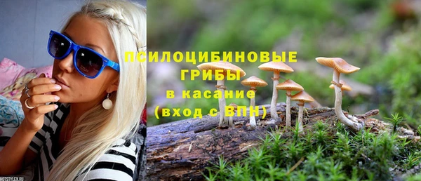 МДПВ Алексеевка