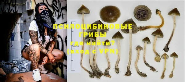 каннабис Алзамай