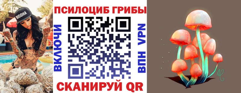 блэк спрут зеркало  даркнет сайт  Петровск  Псилоцибиновые грибы GOLDEN TEACHER 