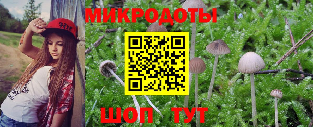 Галлюциногенные грибы Magic Shrooms  Вход с VPN  Петровск  Псилоцибиновые грибы мицелий 
