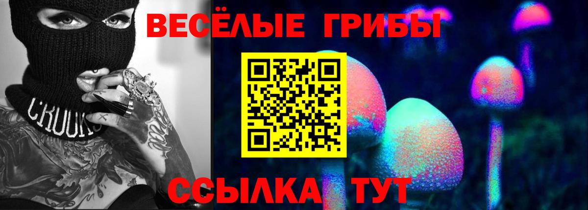 Галлюциногенные грибы Cubensis Петровск